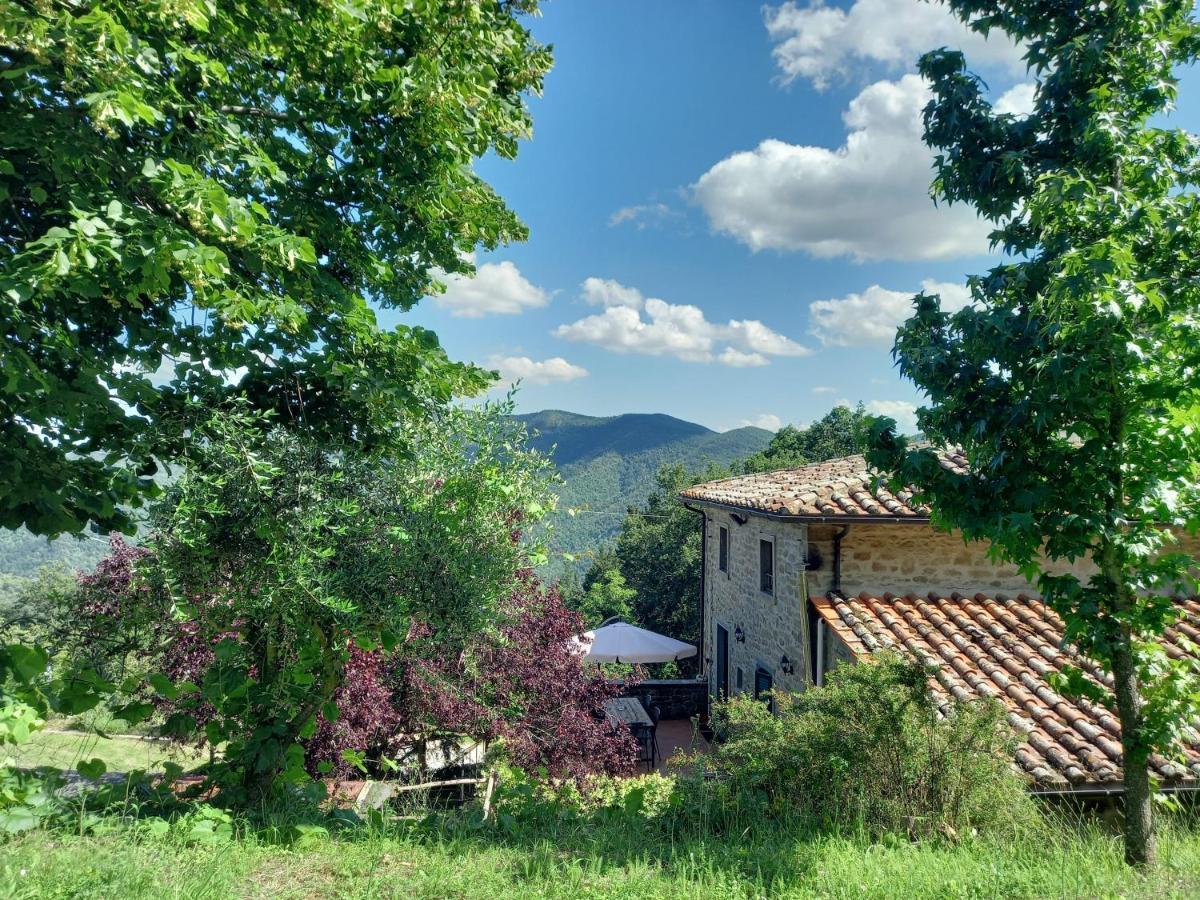 Valle Dame Cortona Exterior photo