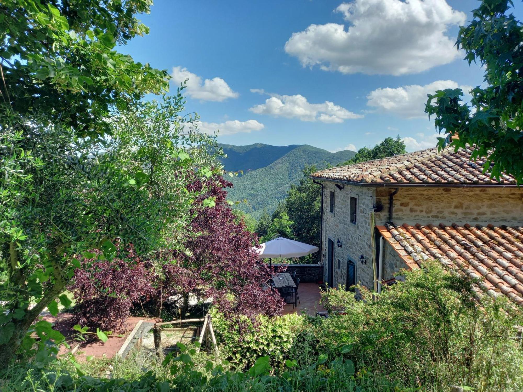 Valle Dame Cortona Exterior photo