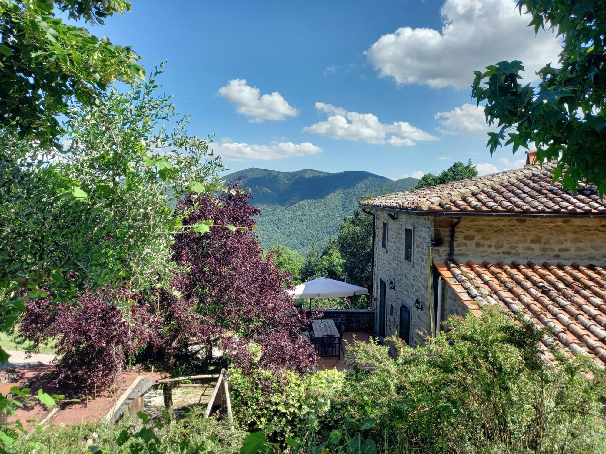 Valle Dame Cortona Exterior photo