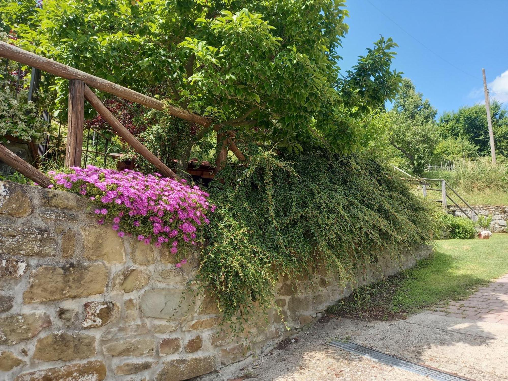 Valle Dame Cortona Exterior photo