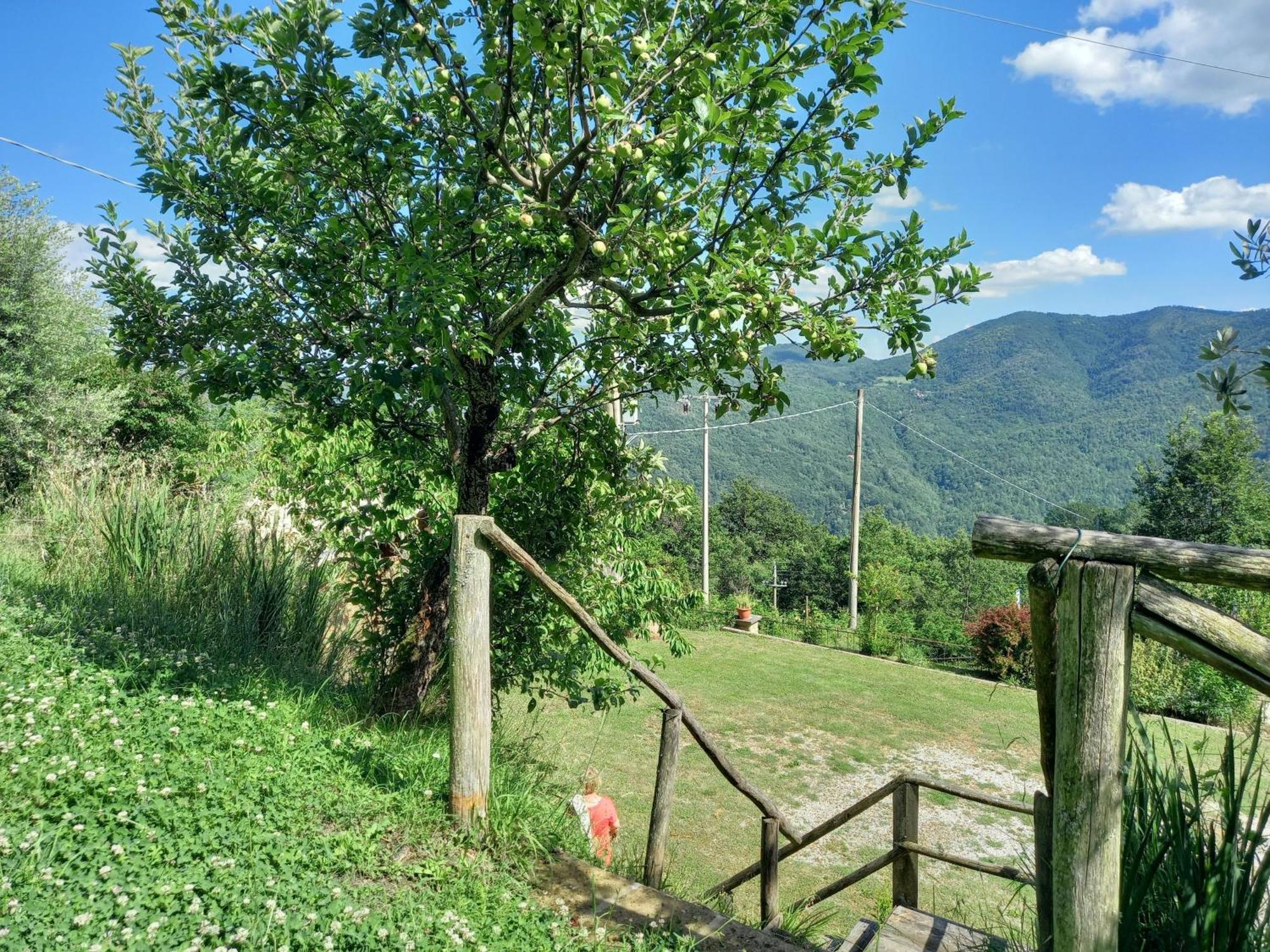 Valle Dame Cortona Exterior photo